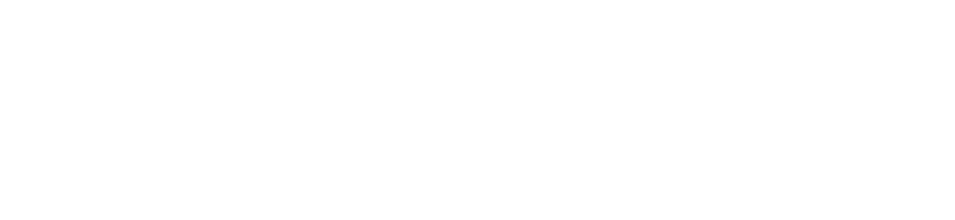 Redion IT Solution